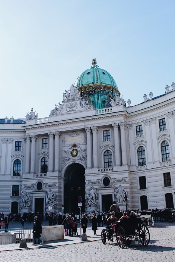 Lugar Hofburg Palace Silver Collection of Vienna