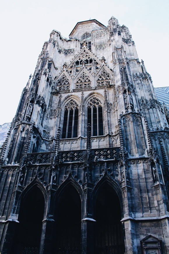 Lugar Catedral de Viena