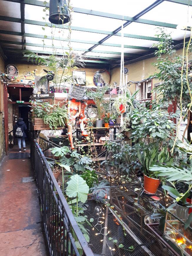 Lugar Szimpla Kert