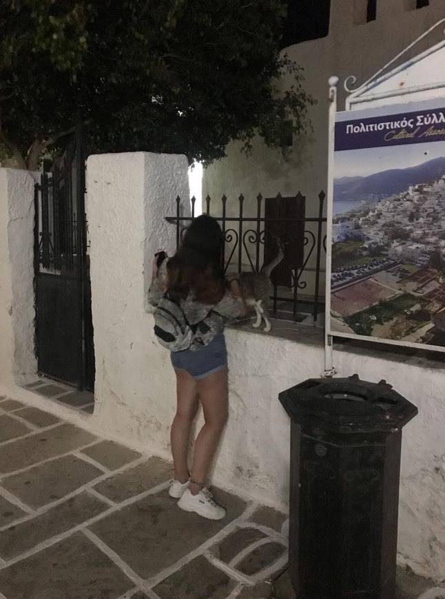 Place Ios