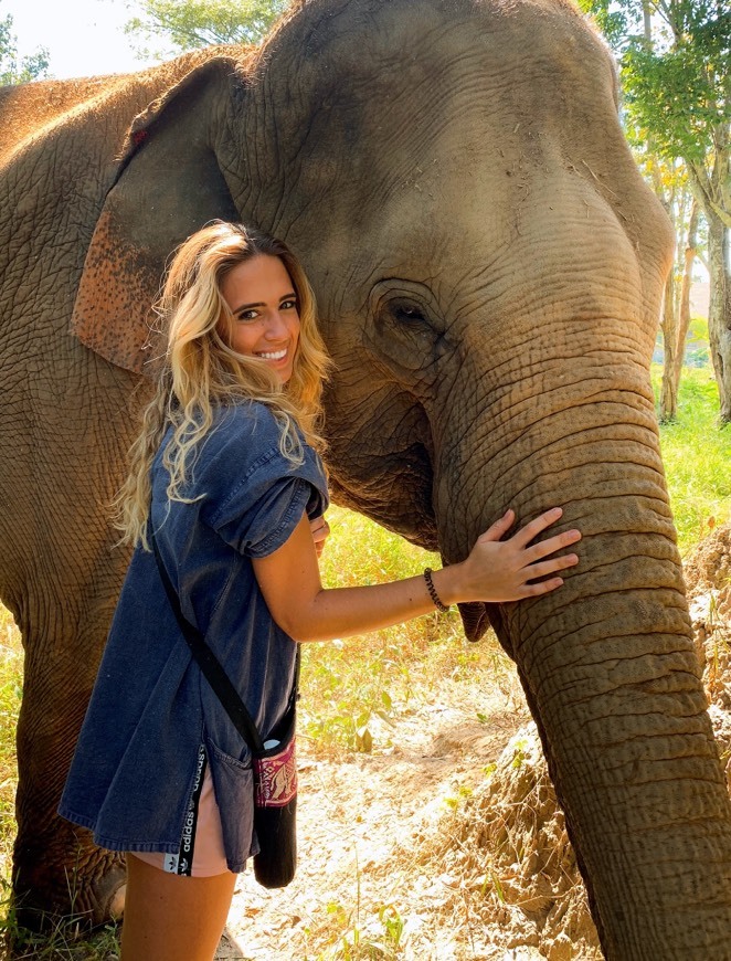 Elephant Haven Thailand