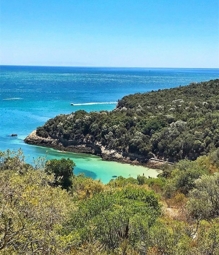 Moda Praia de Galapinhos 