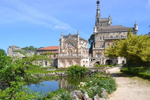 Mata Nacional do Buçaco