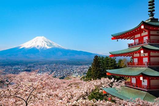 Mount Fuji