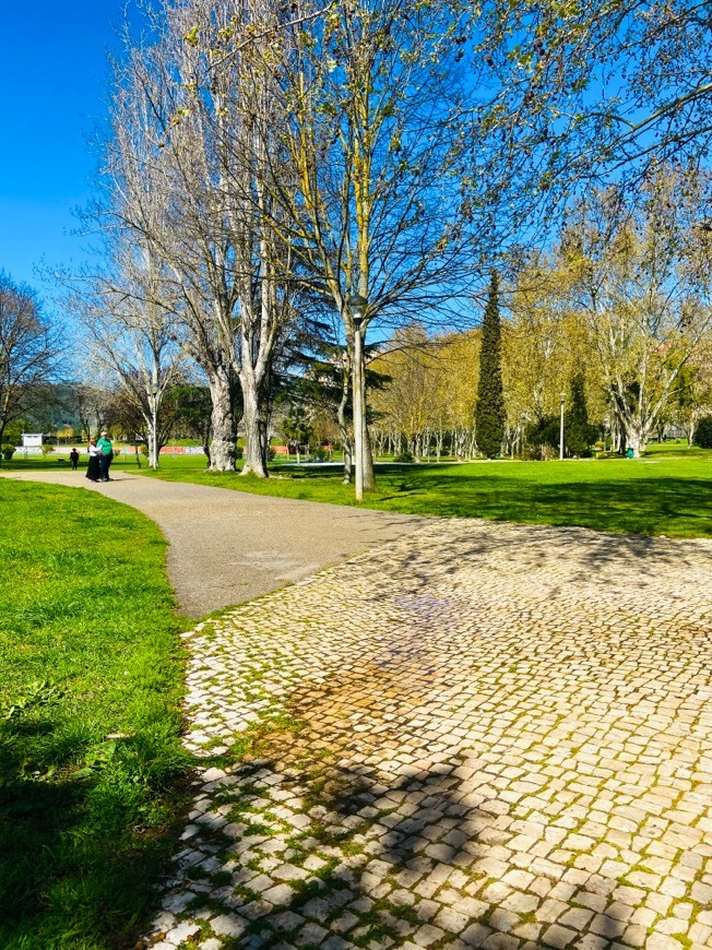 Lugar Parque de Vanicelos