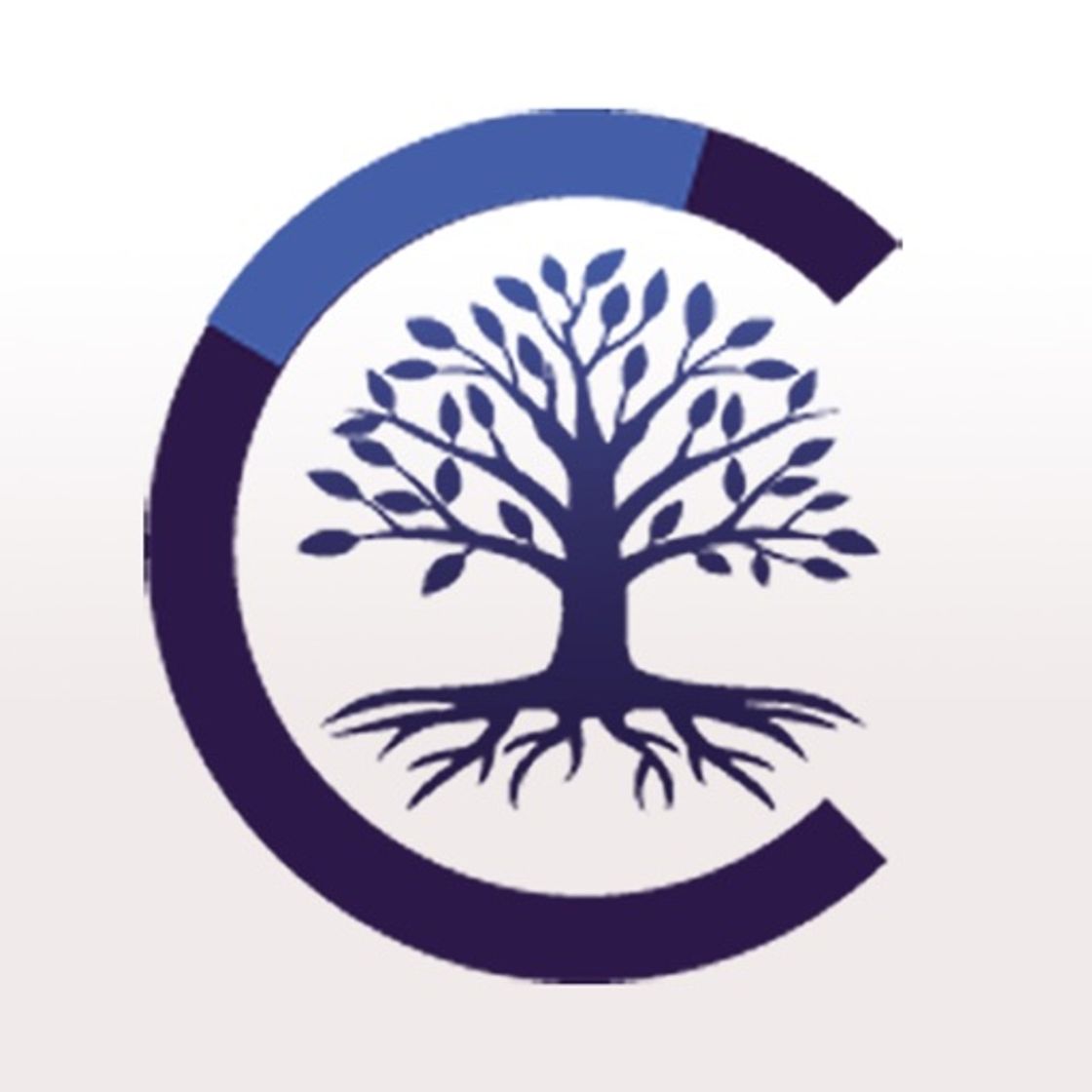 CTT Law