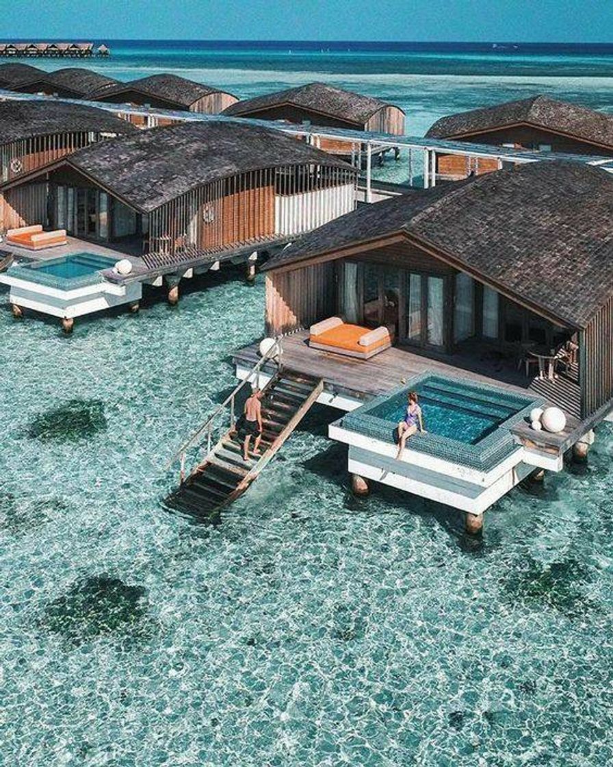 Social Maldivas! ☀️