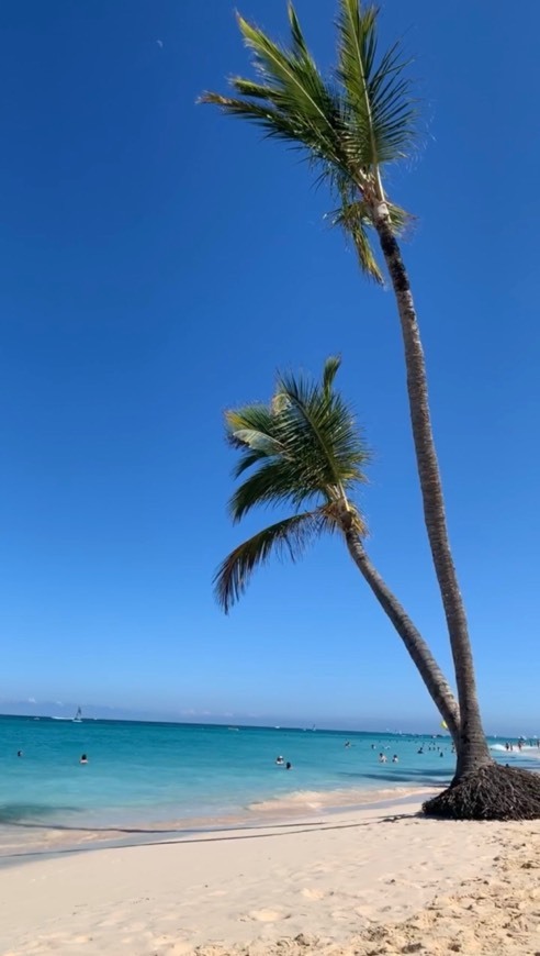 Place Punta Cana