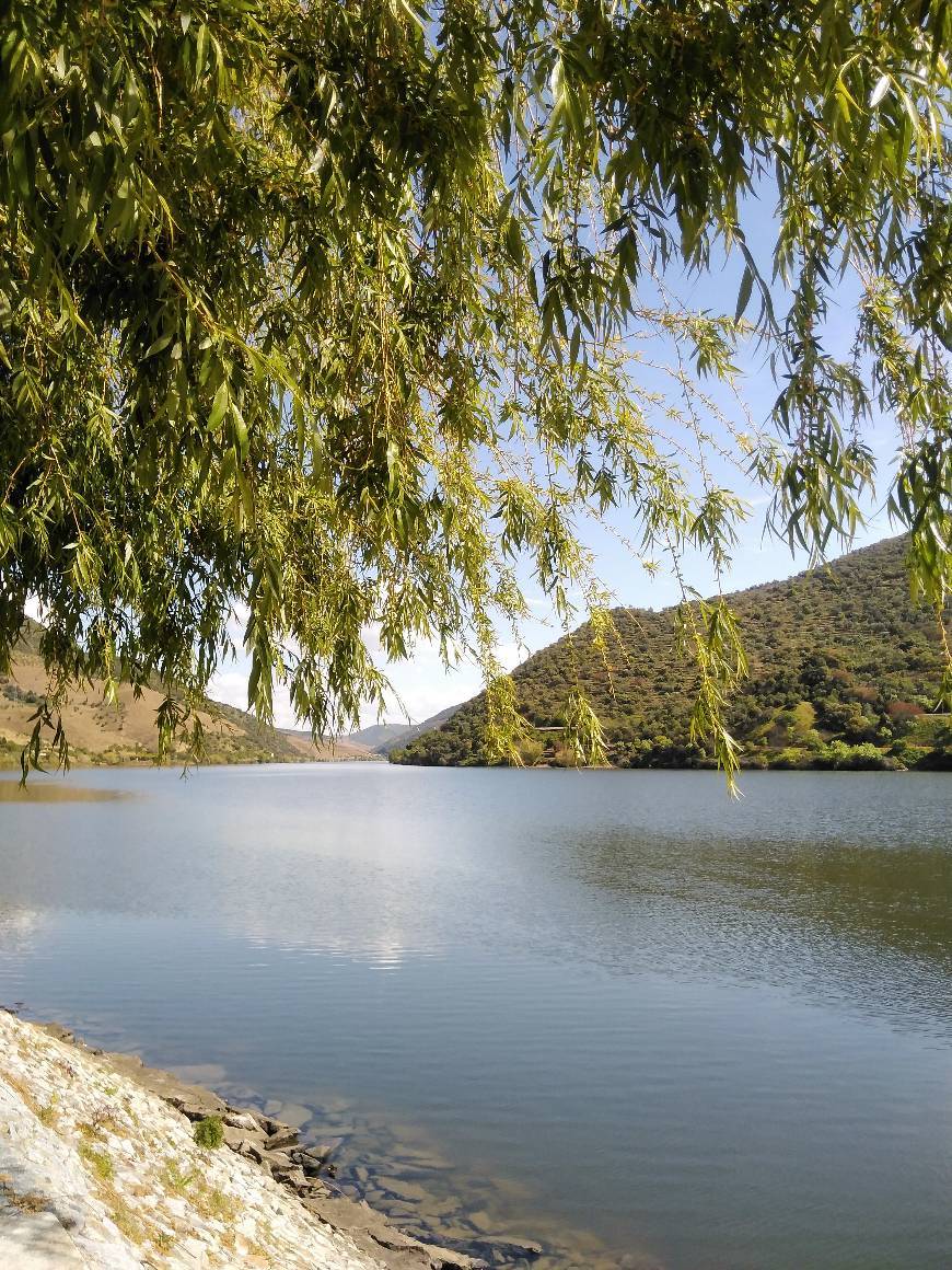 Lugar Quinta da Senhora da Ribeira