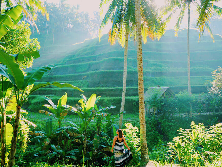 Lugar Ubud