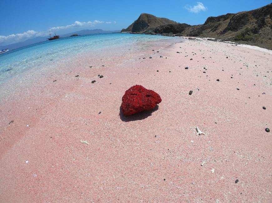 Lugar Pink Beach