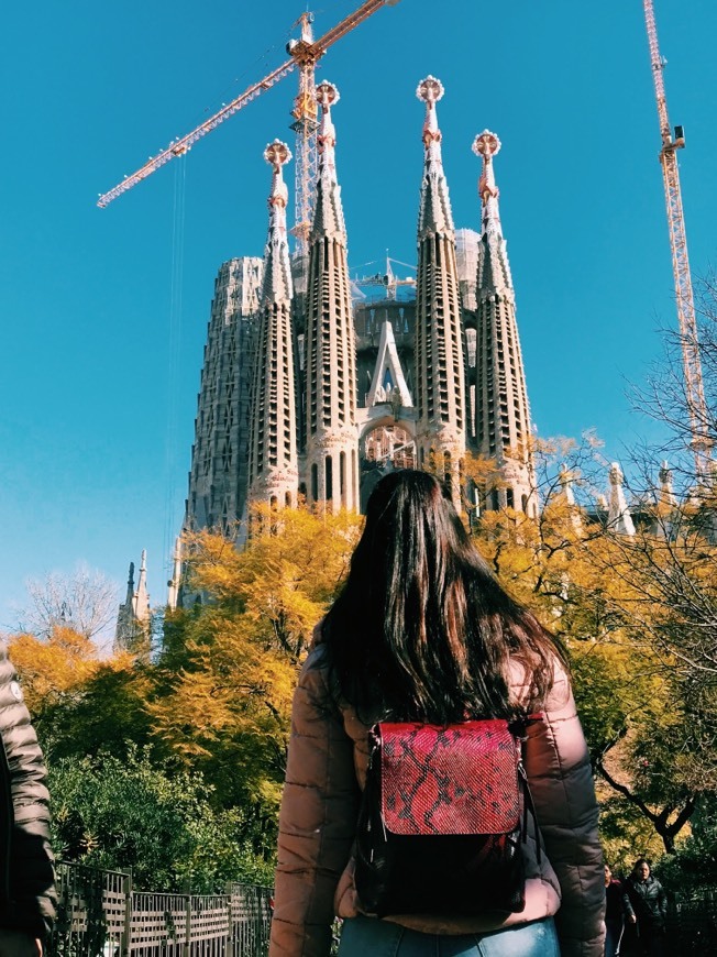 Place Basílica Sagrada Familia