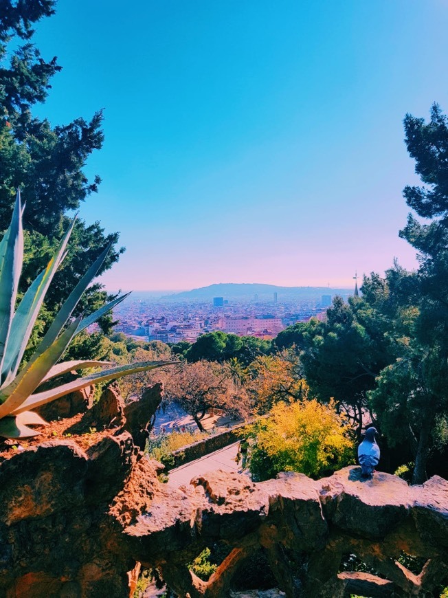 Place Parque de la Ciudadela