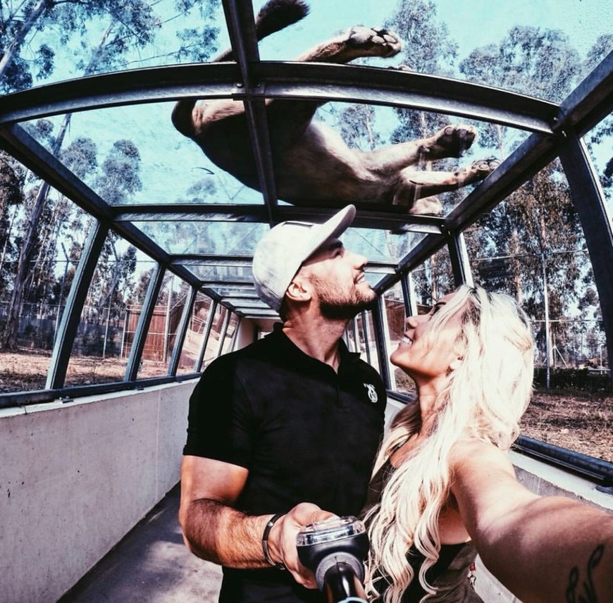 Lugar ZOO Santo Inácio