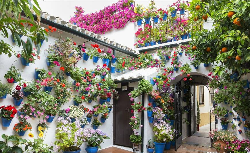 Lugar Patios de San Basilio