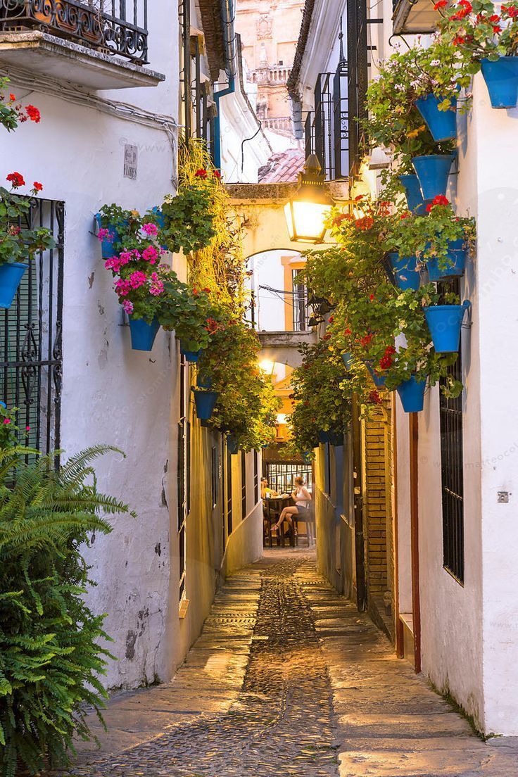 Place Calleja de las Flores