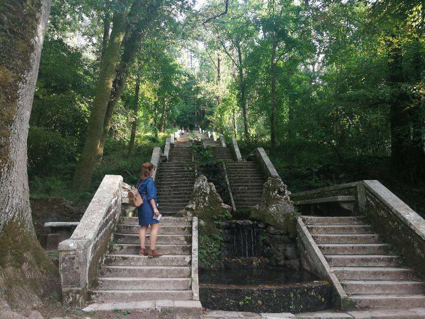 Place Serra do Buçaco