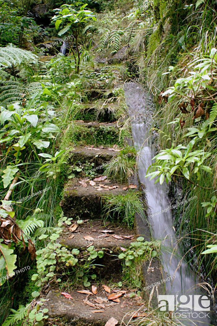 Lugar Levada do Norte