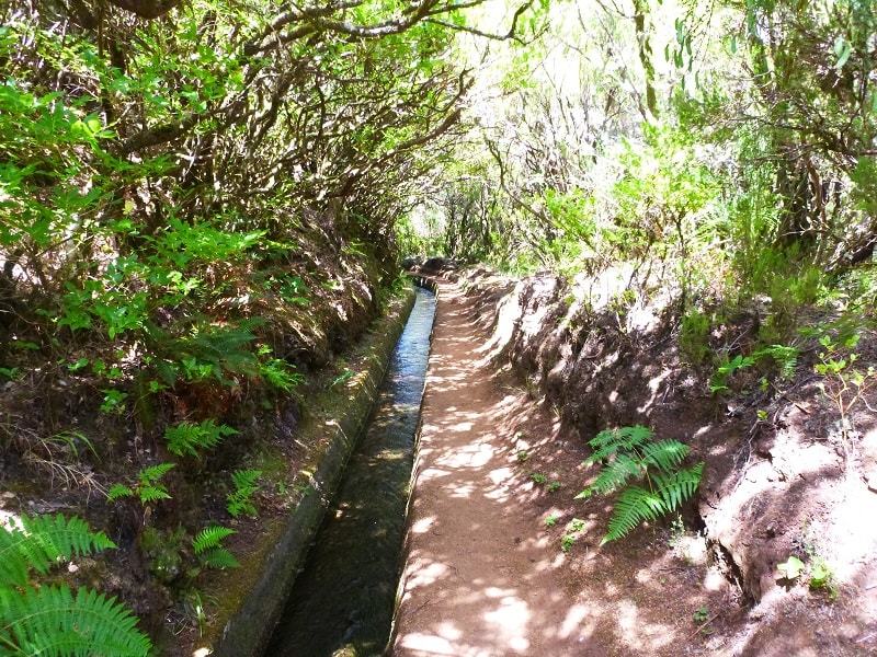 Place Levada do Alecrim