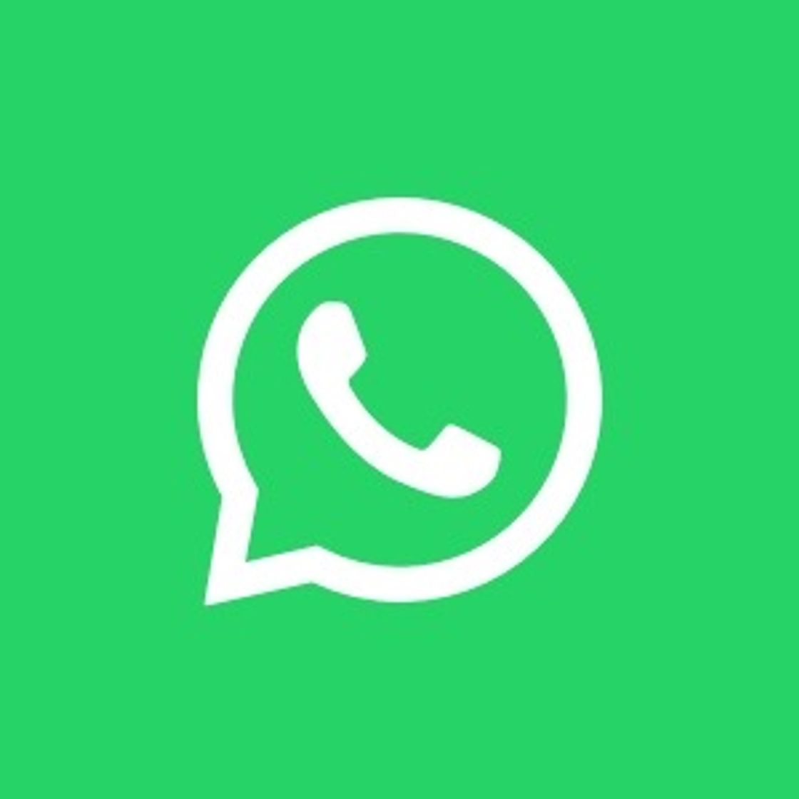 App WhatsApp 