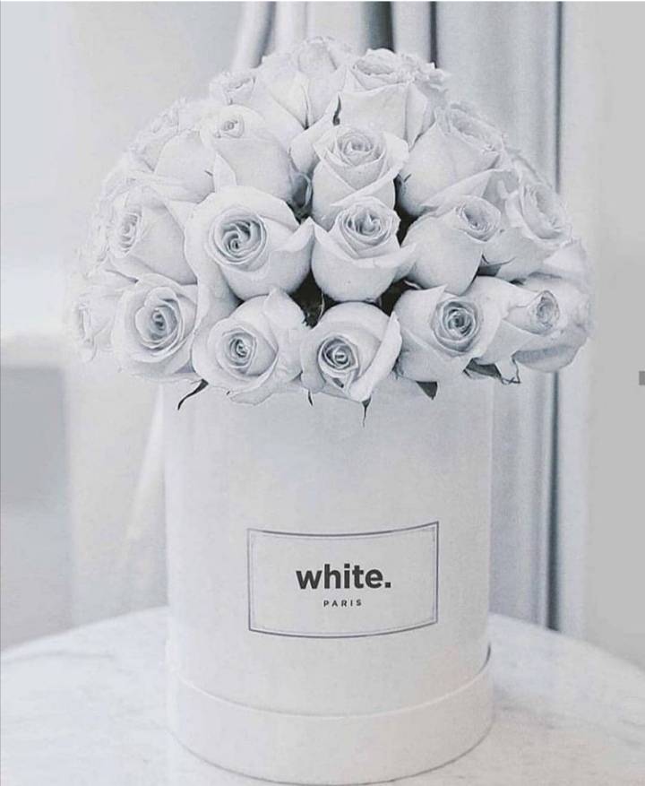 Fashion White 