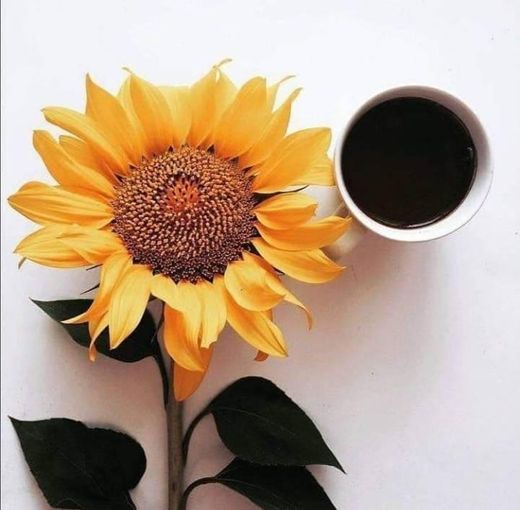 Coffee and flower 