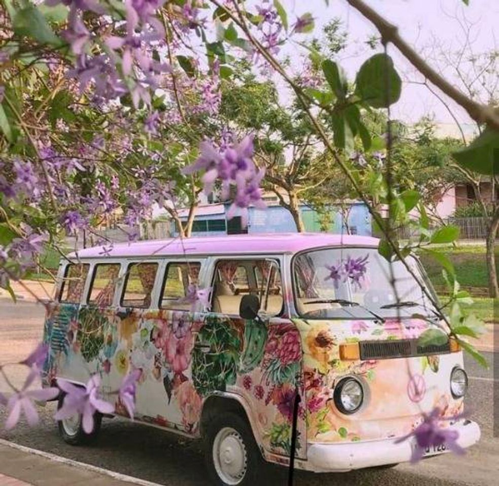 Fashion Hippie car 