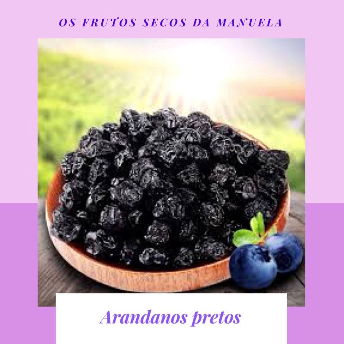 Producto Arandanos pretos 