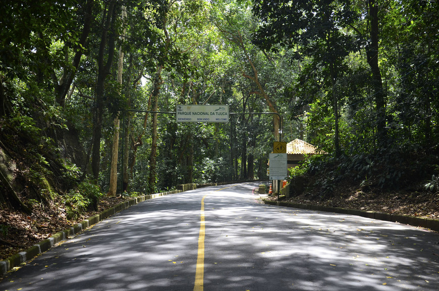 Place Tijuca National Park