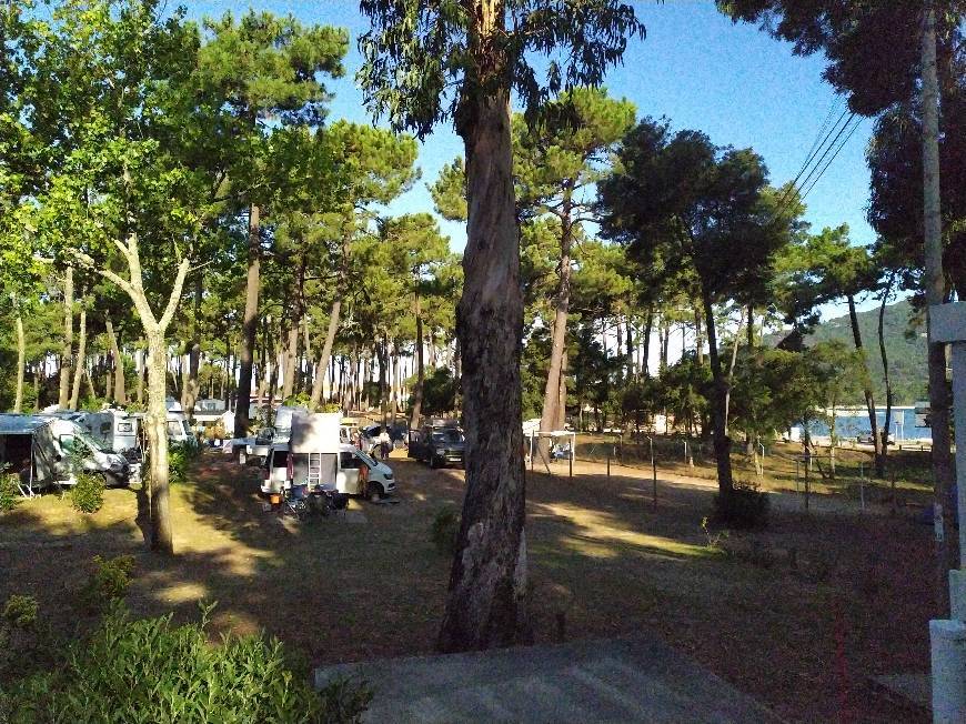 Lugar Camping Orbitur Caminha park