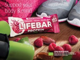 Producto Lifebar proteica