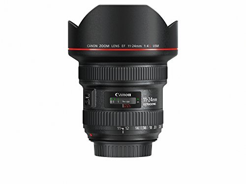 Electronic Canon EF 11-24mm F/4L USM SLR - Objetivo