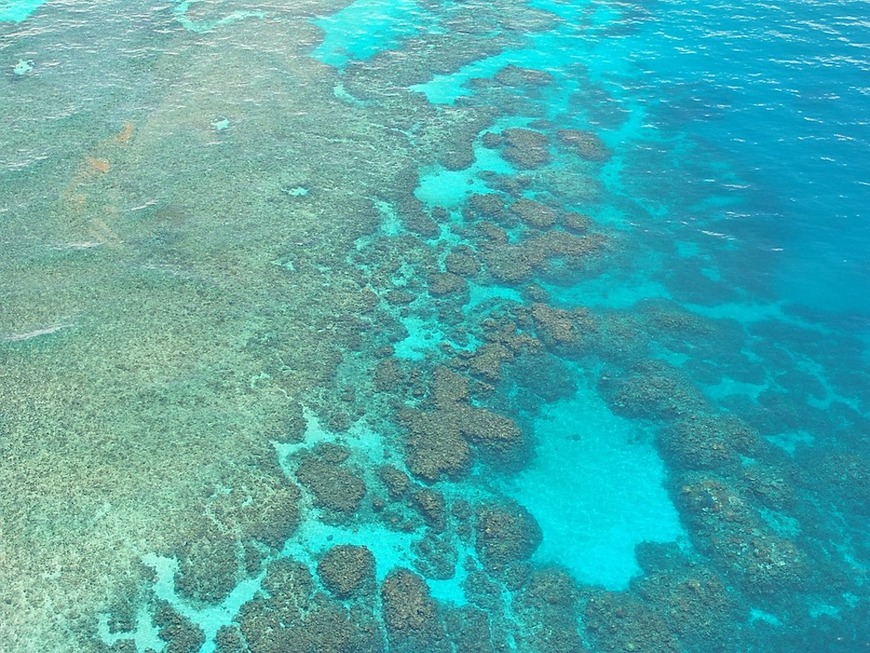 Place Great Barrier Reef