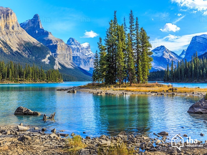 Place Parque Nacional Jasper