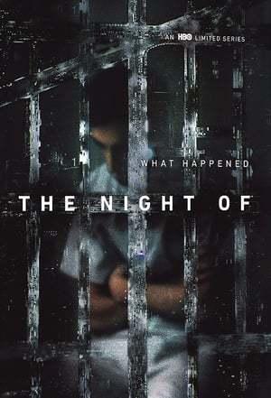 Serie The Night Of