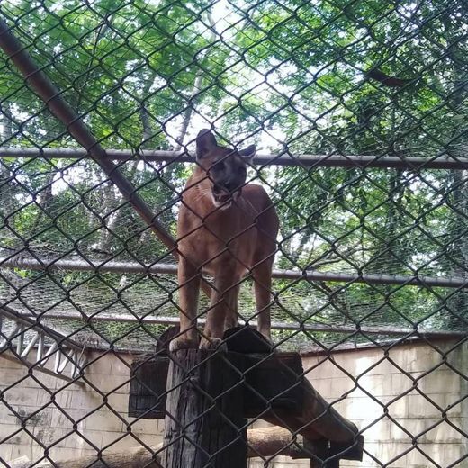 Zoológico Ilha Solteira