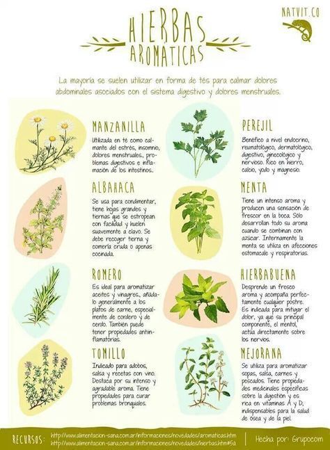 Social 8 plantas silvestres muy saludables puedes comer