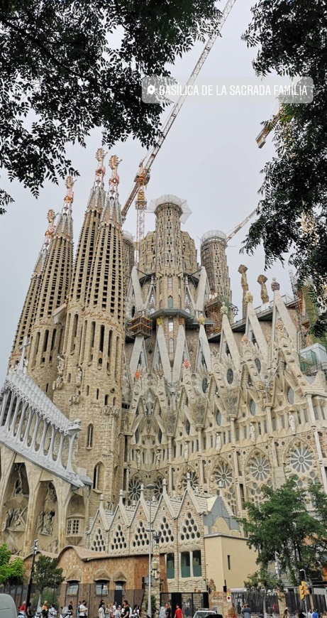 Lugar Basílica Sagrada Familia