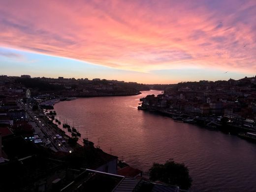 Lugar Jardim do Morro