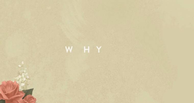 Music Shawn Mendes - Why 