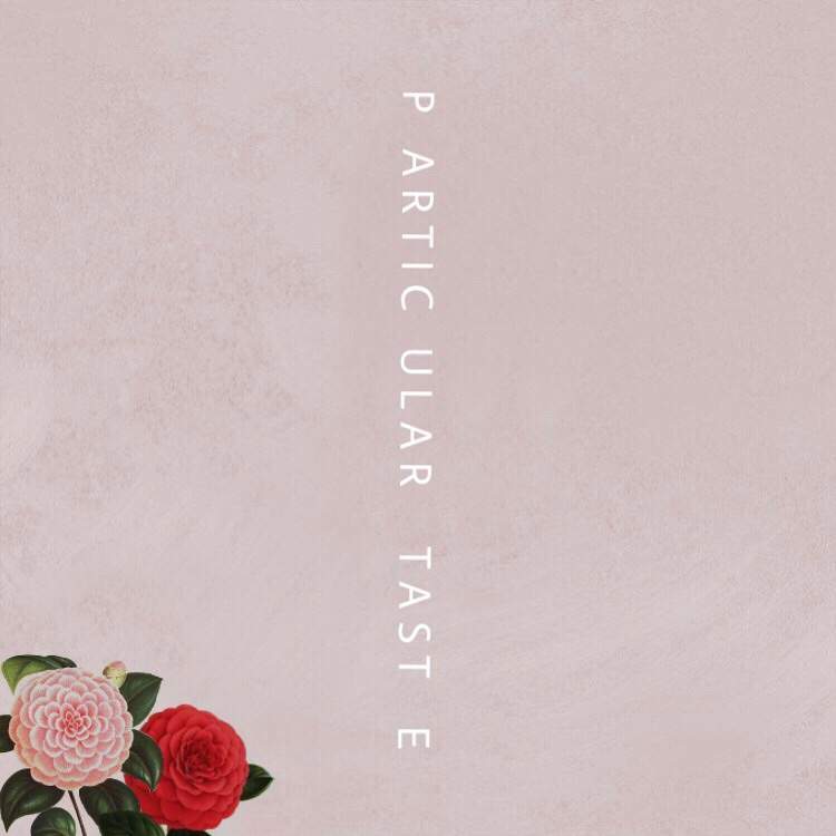 Music Shawn Mendes - Particular Taste