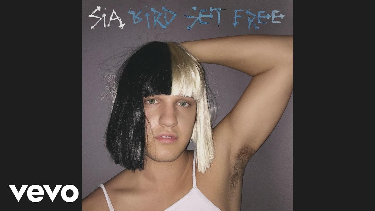 Music Sia - Bird Set Free