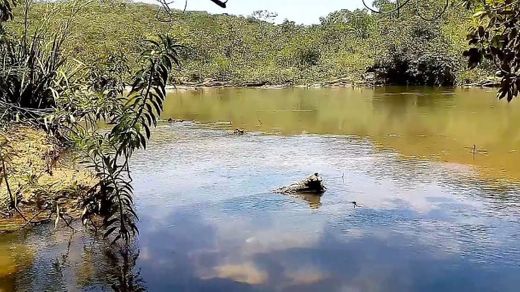 Rio do Peixe