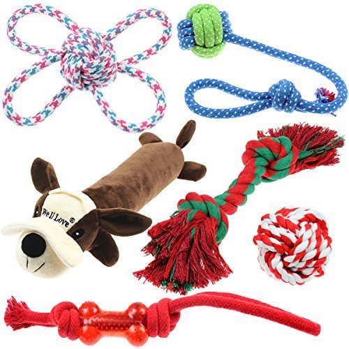 Social Well Love Juguetes para perro