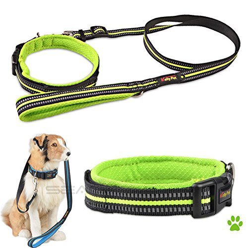 Lugar Pany Pamy Inpay - Collar de Perro y Correa de Ejercicio Set