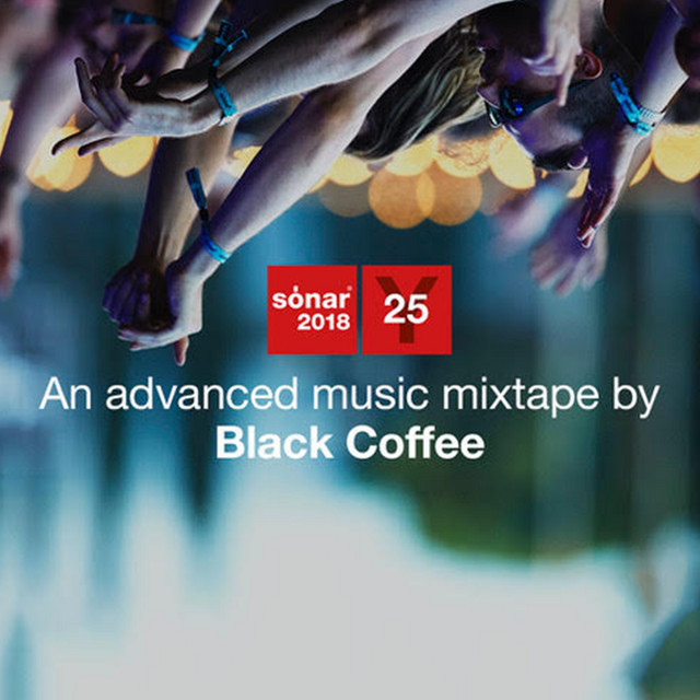 Canción Muyè (Black Coffee Remix)