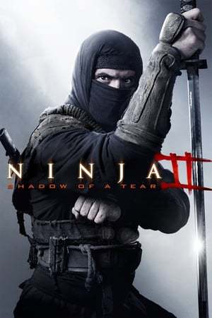 Movie Ninja 2: La sombra de la muerte