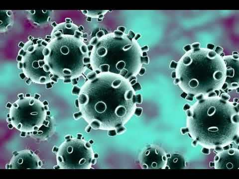 Fashion FIQUEM EM CASA - CORONA VIRUS - YouTube