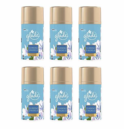 Lugar Glade Sea Minerals & Magnolia