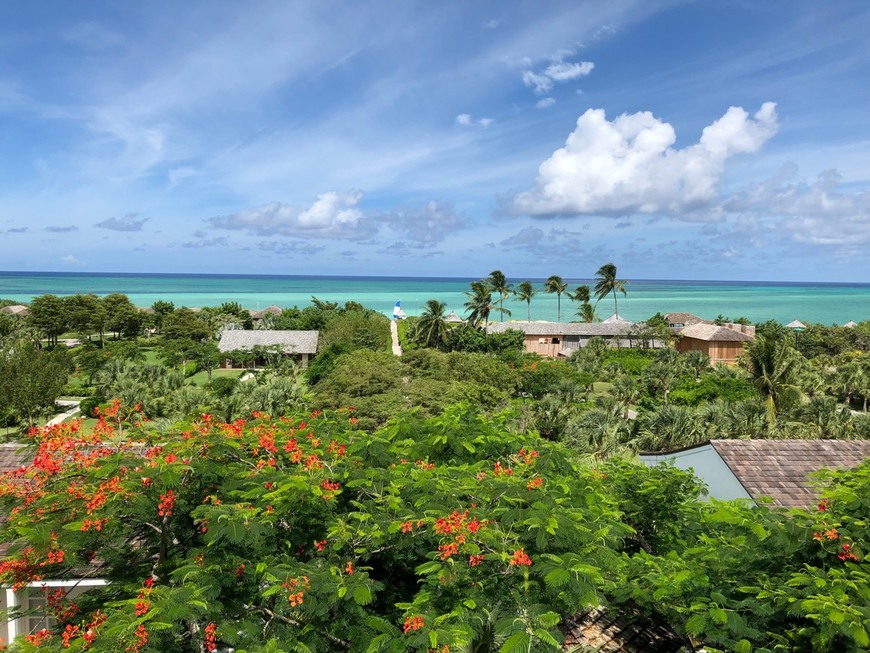 Lugar COMO Parrot Cay, Turks & Caicos